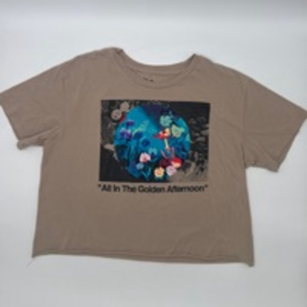 DISNEY Alice in Wonderland Graphic Cropped T-Shirt Brown XL